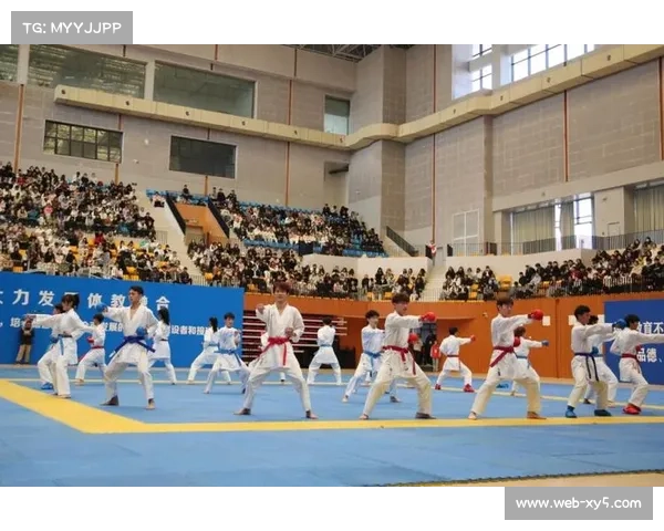 以空手道特色小镇建设引领体育文化产业融合促进区域经济高质量发展路径研究